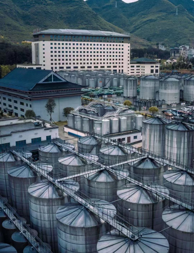專訪民族酒業(yè)集團王超麗：一顆“求實”的心