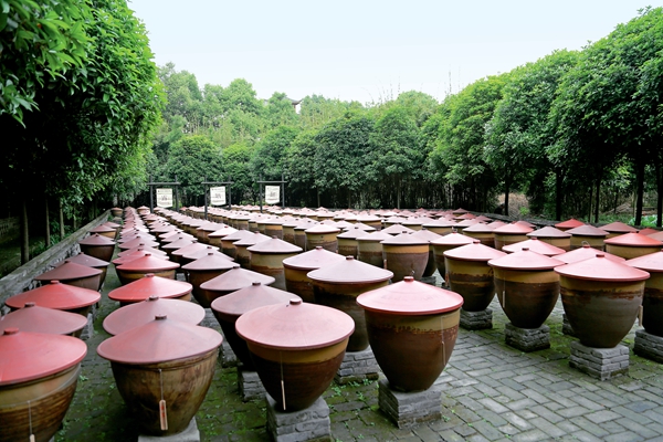芶思，建一座“可以吃的博物館”