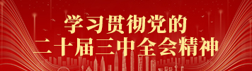 學(xué)習(xí)貫徹黨的二十屆三中全會精神