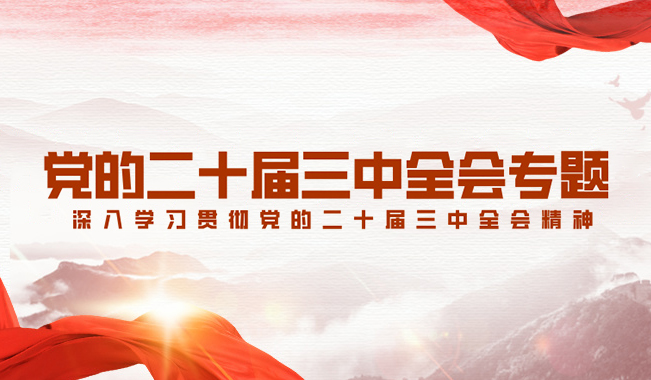 深入學習貫徹黨的二十屆三中全會精神